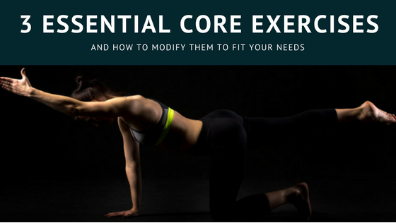Picture2 3 Safe Core Exercises 3 Safe Core Exercises,reduce back pain,back pain,pain management,pain management near me Wesley Chapel Spine and Sport Medicine