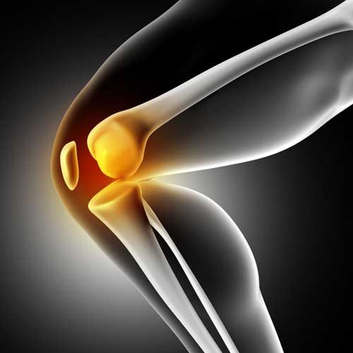 knee Tenotomy Procedure Tampa FL Tenotomy Procedure Tampa FL,TenJet Tenotomy Wesley Chapel FL,Tenotomy procedure Wesley Chapel,TenJet procedure near me,Sports medicine Wesley Chapel FL,Elbow pain treatment Wesley Chapel Wesley Chapel Spine and Sport Medicine