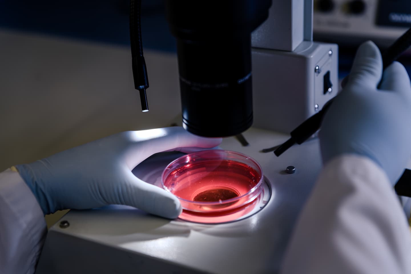 closeup shot person studying coronavirus particles with microscope 1