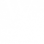 White c1Main 34 1 our team our team,wesley chapel doctors,unnecessary risk,highly effective,pain medications Wesley Chapel Spine and Sport Medicine