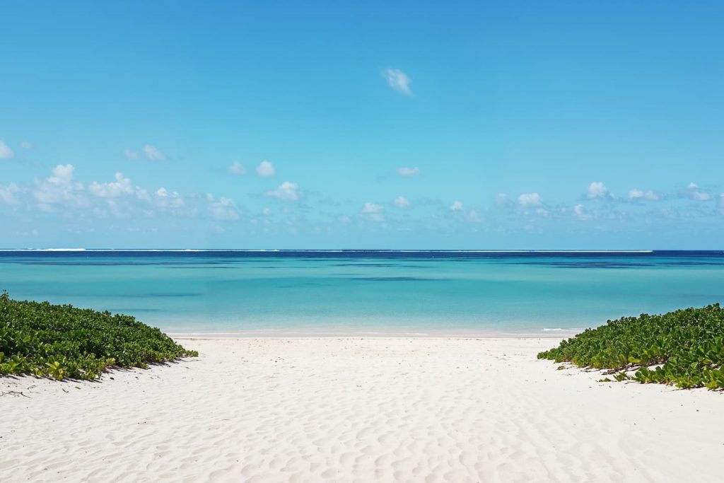 beautiful tropical nature 1 3 1 our team our team,wesley chapel doctors,unnecessary risk,highly effective,pain medications Wesley Chapel Spine and Sport Medicine